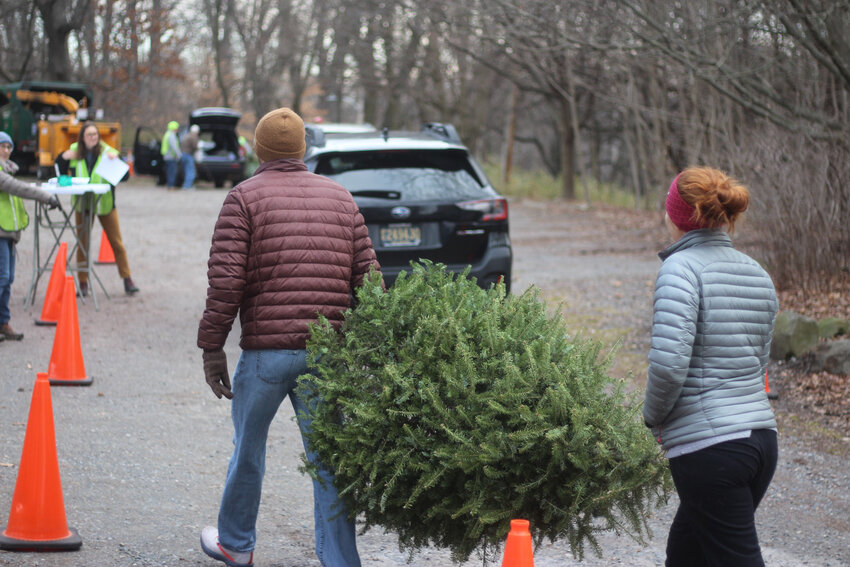 TreeCycle event to recycle Christmas Trees in Wilmington for free Bay